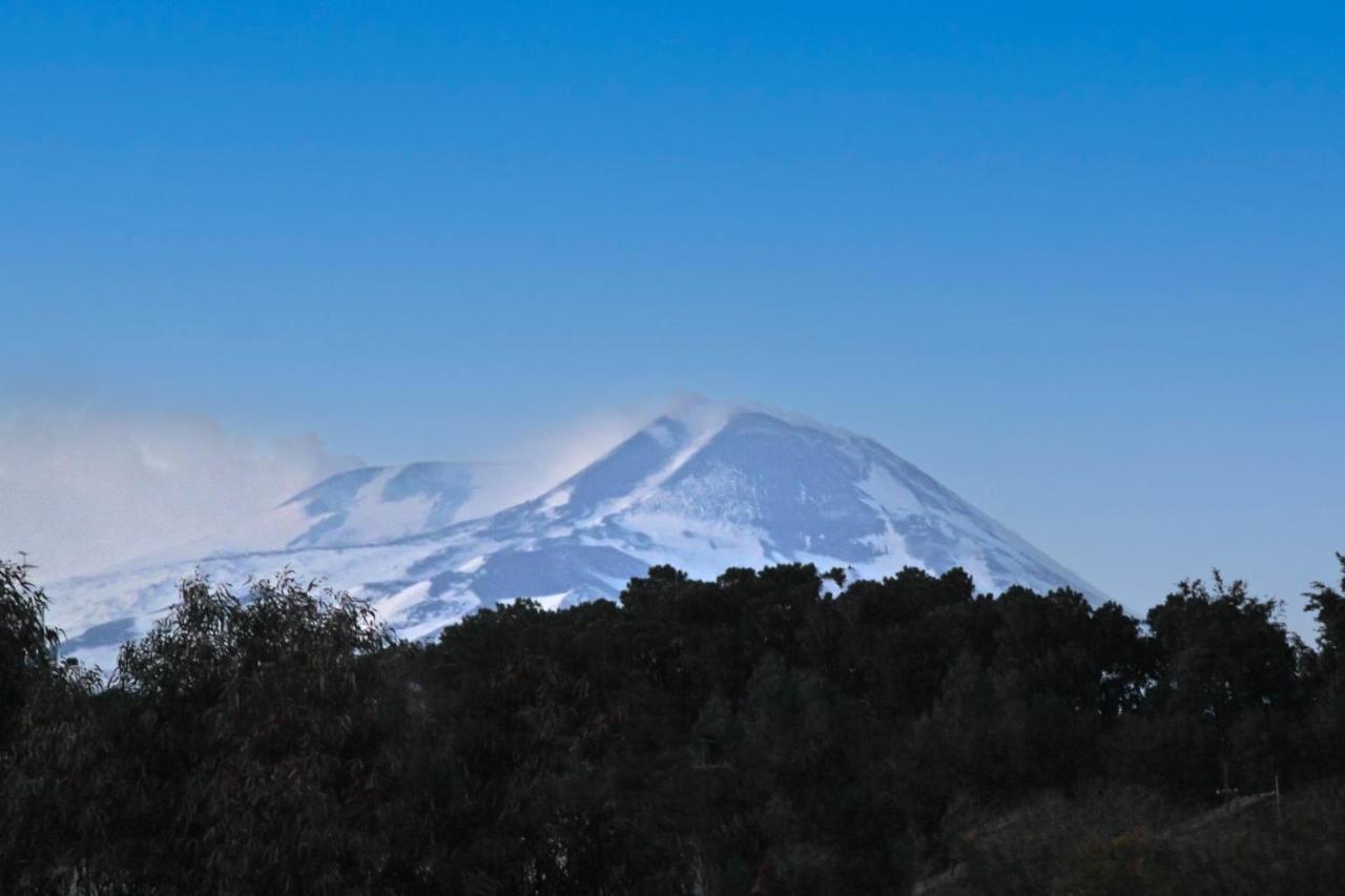 La Pietra Nera - Etna Home Catania-Fontanarossai nemzetközi repülőtér Kültér fotó